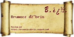 Brumecz Ábris névjegykártya